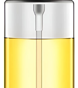 Garrafa Spray Para Temperos 100ml Art House Prateado