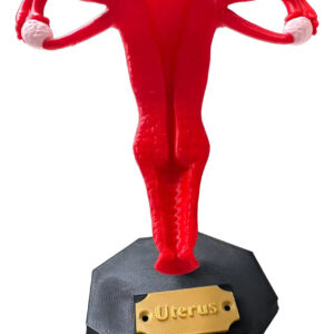 Escultura Decorativa Partes Do Corpo Humano Impressão 3d Úte